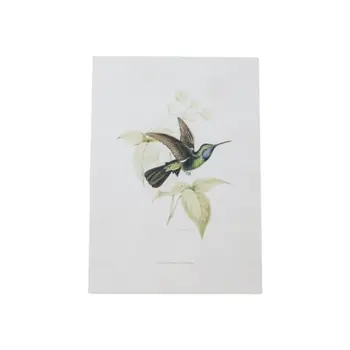 Set of Four White Hummingbird Framed Art
