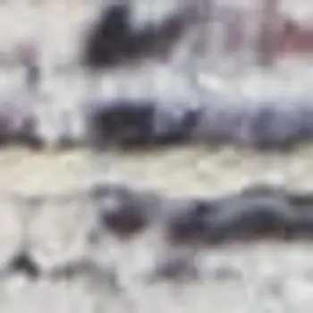 8' X 10' Gray Floral Power Loom Distressed Area Rug