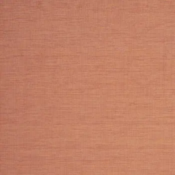 8' X 10' Terra Cotta Indoor Outdoor Area Rug