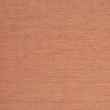 8' X 10' Terra Cotta Indoor Outdoor Area Rug
