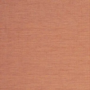 7' X 10' Terracotta Indoor Outdoor Area Rug