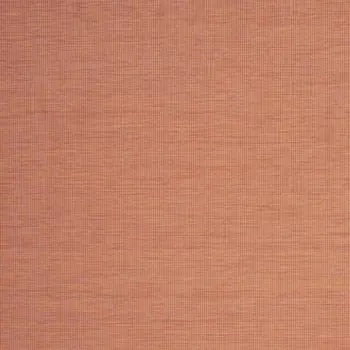 7' X 10' Terracotta Indoor Outdoor Area Rug
