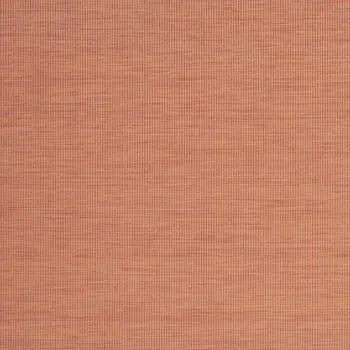 7' X 10' Terracotta Indoor Outdoor Area Rug