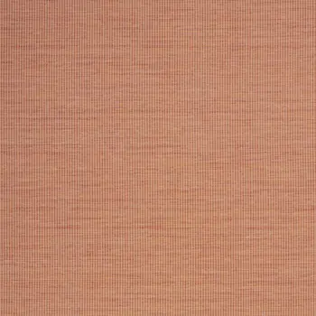 5' X 7' Terracotta Indoor Outdoor Area Rug