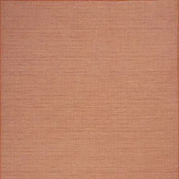 4' X 6' Terracotta Indoor Outdoor Area Rug