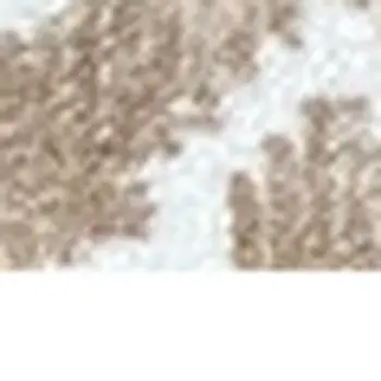 2' X 4' Sand Moroccan Machine Tufted Area Rug With UV Protection