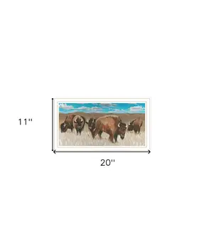 Bison Herd White Framed Print Wall Art