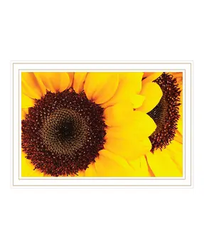 Sunflower Portrait White Framed Print Wall Art