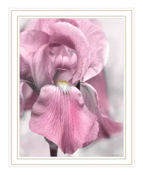Pink Iris White Framed Print Wall Art