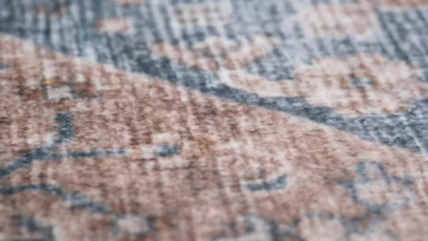 7' X 10' Brown and Blue Floral Distressed Area Rug