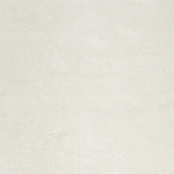 5' X 7' Ivory Shag Area Rug