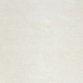8' X 10' Ivory Shag Area Rug