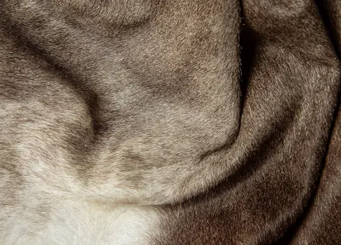 6' X 7' Gray and Ivory Genuine Cowhide Hand Knotted Area Rug