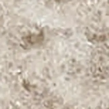 8' Beige And Ivory Moroccan Runner Rug