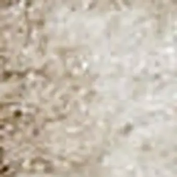 5' X 7' Beige and Ivory Medallion Power Loom Distressed Area Rug
