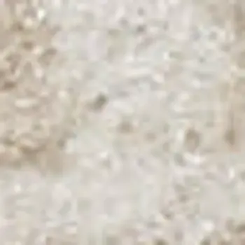8' X 10' Beige and Ivory Medallion Power Loom Distressed Area Rug