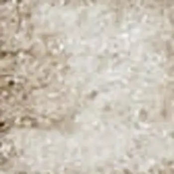 8' X 10' Beige and Ivory Medallion Power Loom Distressed Area Rug