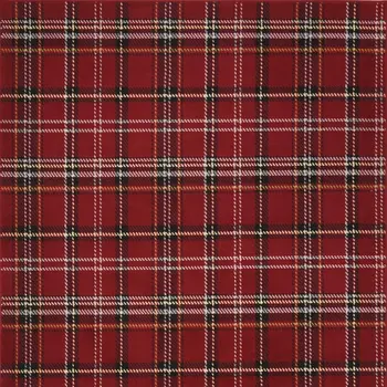 5' X 7' Red and Black Plaid Power Loom Area Rug