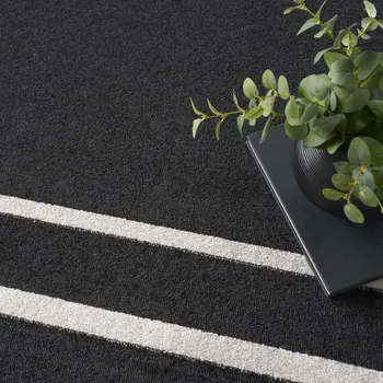 8' X 10' Black And Ivory Indoor Outdoor Area Rug