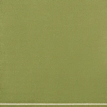 5' Green And Ivory Square Indoor Outdoor Area Rug
