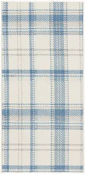 2' X 4' Blue and Ivory Plaid Power Loom Area Rug