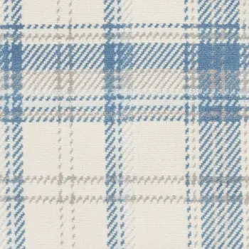 2' X 4' Blue and Ivory Plaid Power Loom Area Rug