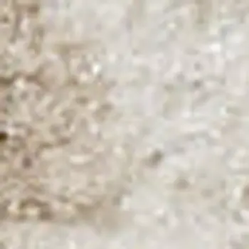 2' X 4' Beige and Ivory Medallion Power Loom Distressed Area Rug