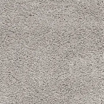 3' X 4' Gray Shag Distressed Area Rug