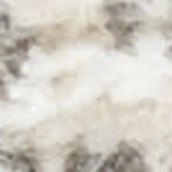 6' X 9' Charcoal Gray and Ivory Abstract Non Skid Area Rug