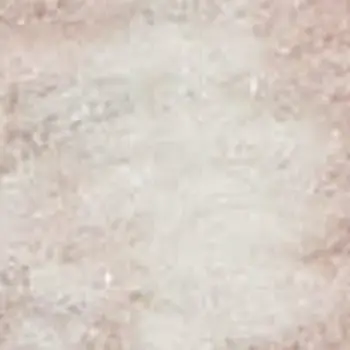 8' X 10' Pink and Ivory Floral Distressed Non Skid Area Rug