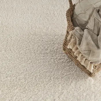 7' X 9' Ivory Shag Area Rug