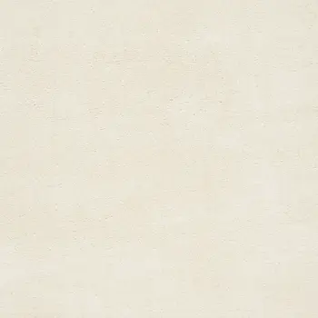 7' X 9' Ivory Shag Area Rug