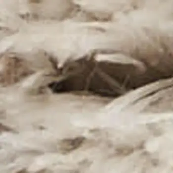 8' X 10' Beige Ivory and Gray Abstract Shag Area Rug