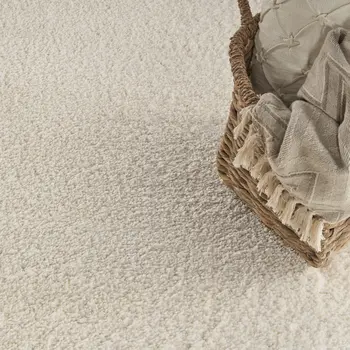 8' X 10' Ivory Shag Area Rug