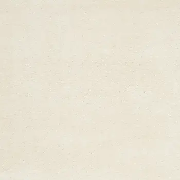8' X 10' Ivory Shag Area Rug