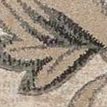 4' X 6' Tan Black and Ivory Damask Area Rug