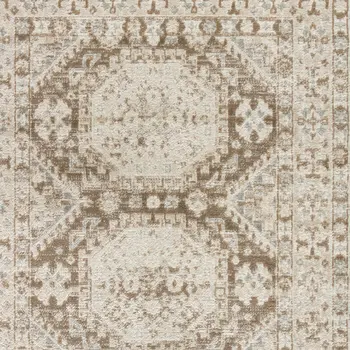 4' X 6' Brown Geometric Distressed Area Rug