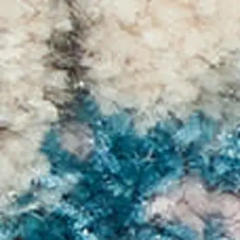 4' X 6' Ivory And Blue Floral Area Rug
