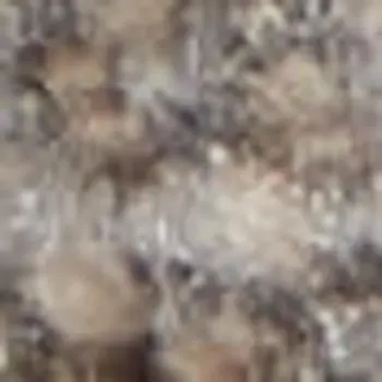 9' X 12' Gray and Ivory Abstract Non Skid Area Rug