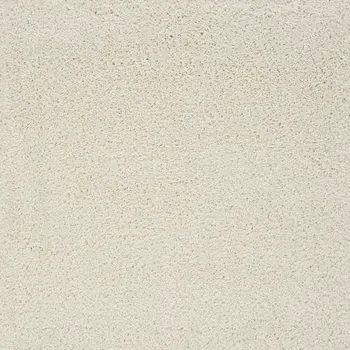 4' X 6' Ivory Shag Area Rug