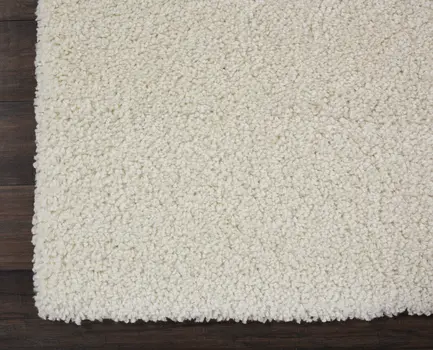 4' X 6' Ivory Shag Area Rug