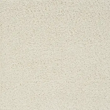 4' X 6' Ivory Shag Area Rug