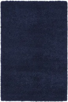 4' X 6' Blue Shag Area Rug