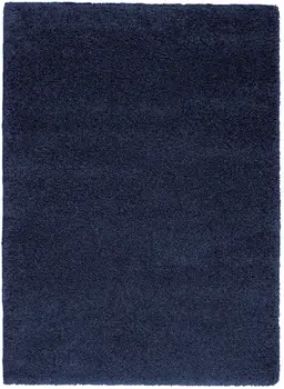 5' X 7' Blue Shag Area Rug