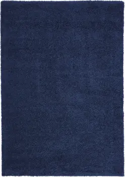 7' X 10' Blue Shag Area Rug