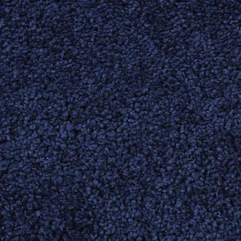 8' X 10' Blue Shag Area Rug