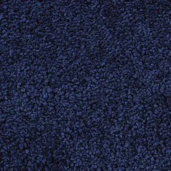 8' X 10' Blue Shag Area Rug