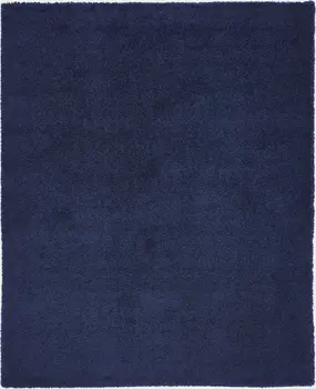 8' X 10' Blue Shag Area Rug