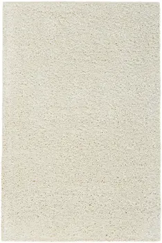 3' X 5' Ivory Shag Distressed Area Rug