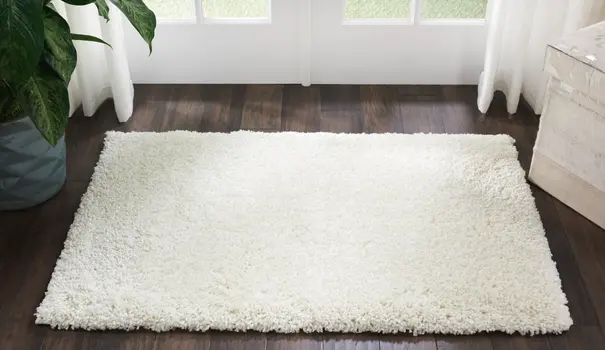 3' X 5' Ivory Shag Distressed Area Rug